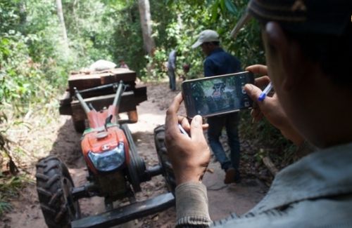 Patroller in Prey Lang documenting illegal deforestation with the Prey Lang app as part of the Prey Lang ICT4D project